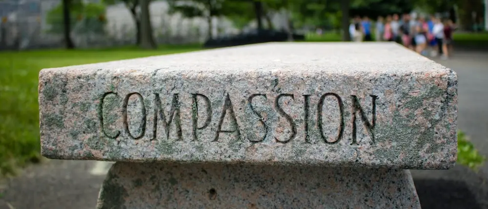 Compassion Therapeutic Principle