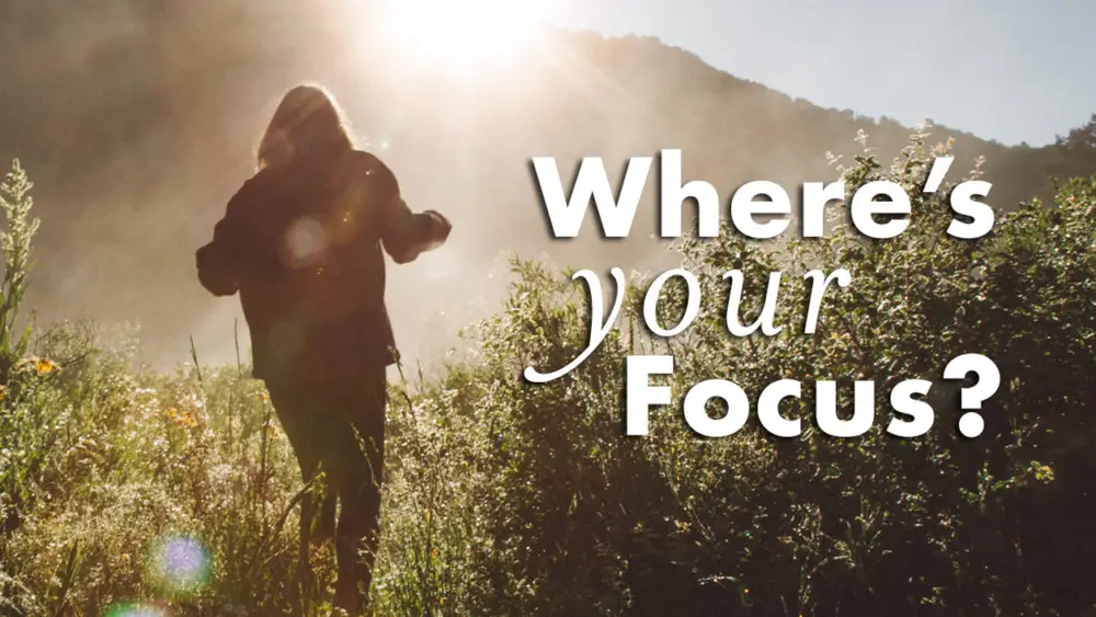 Focus 8 Focus