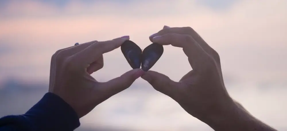 Happy Couples Do 5 Things 26 Couples Connecting