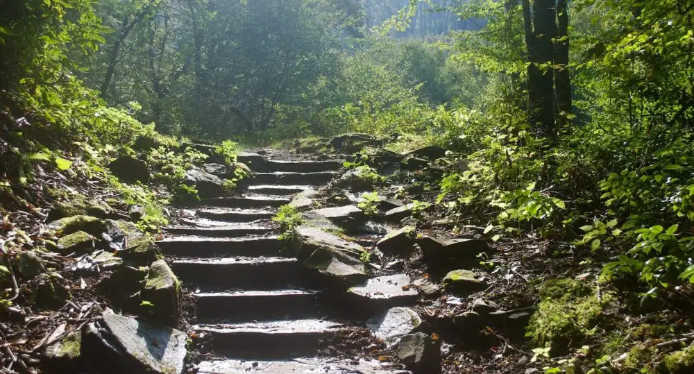 Commitment Therapeutic Principle To Your Healing Journey
