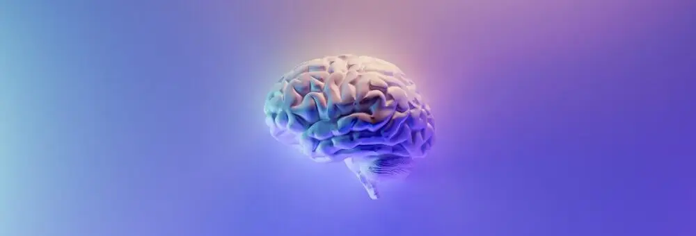 Adhd Brain – Photo By Milad Fakurian Adhd Brain