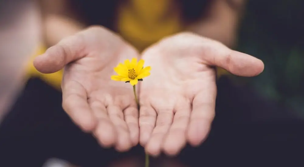 Focus On Values – Photo By Lina Trochez Focus On Values