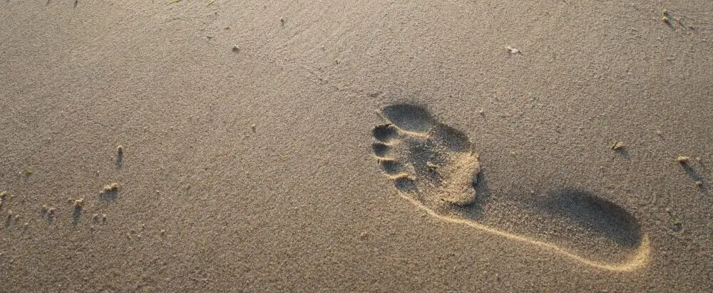 Negative Thoughts Next Steps – Photo By Dim Hou Negative Thoughts Next Steps