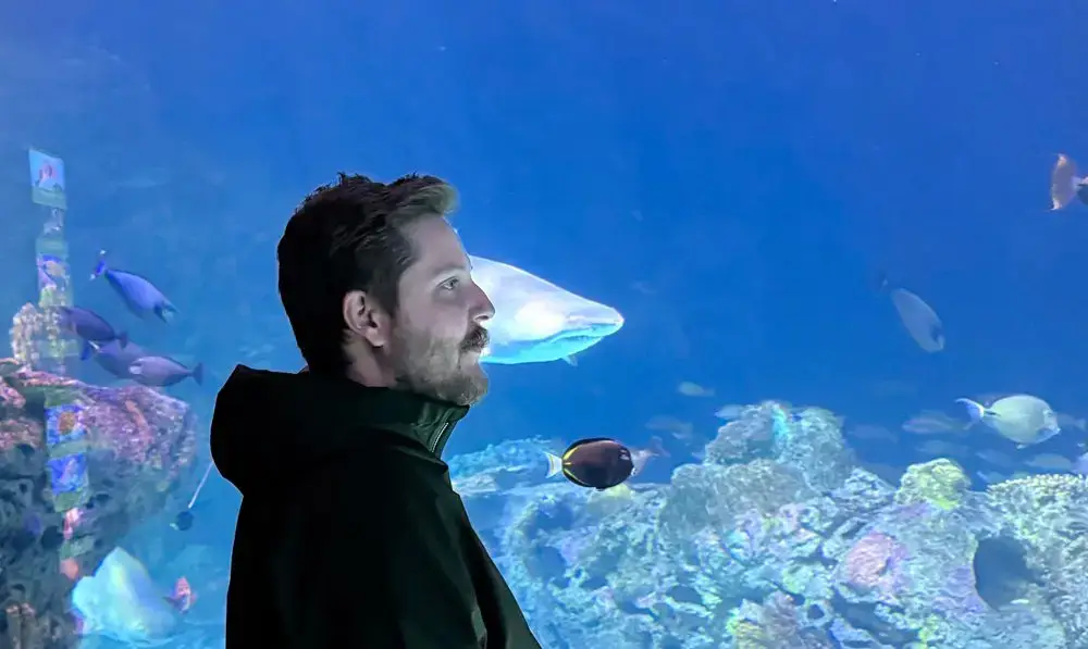 Josh Doxey, Mft At Aquarium
